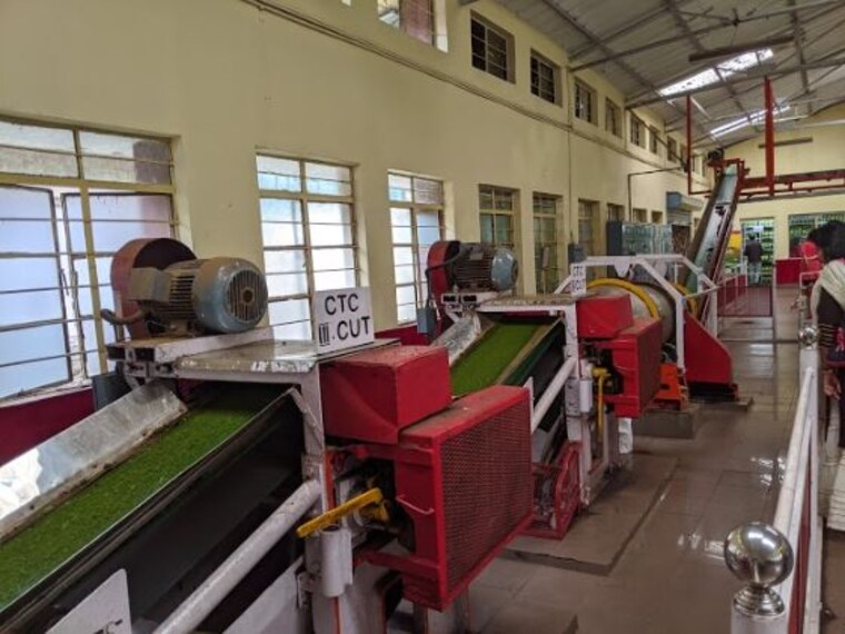 visit the tea museum_6